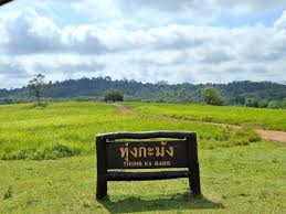 แนะนำสถานที่ท่องเที่ยว ทุ่งกะมัง  จังหวัดชัยภูมิ